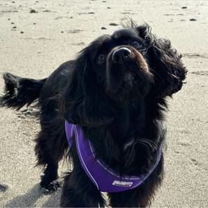 Meet your Posher, Laura